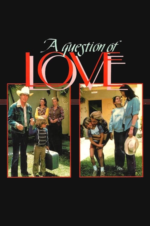 Постер A Question of Love